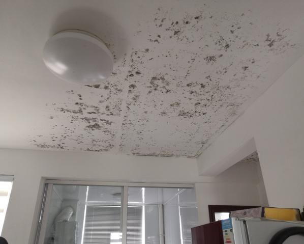 深化黨建推動引領，提升租戶居住幸福指數(shù)