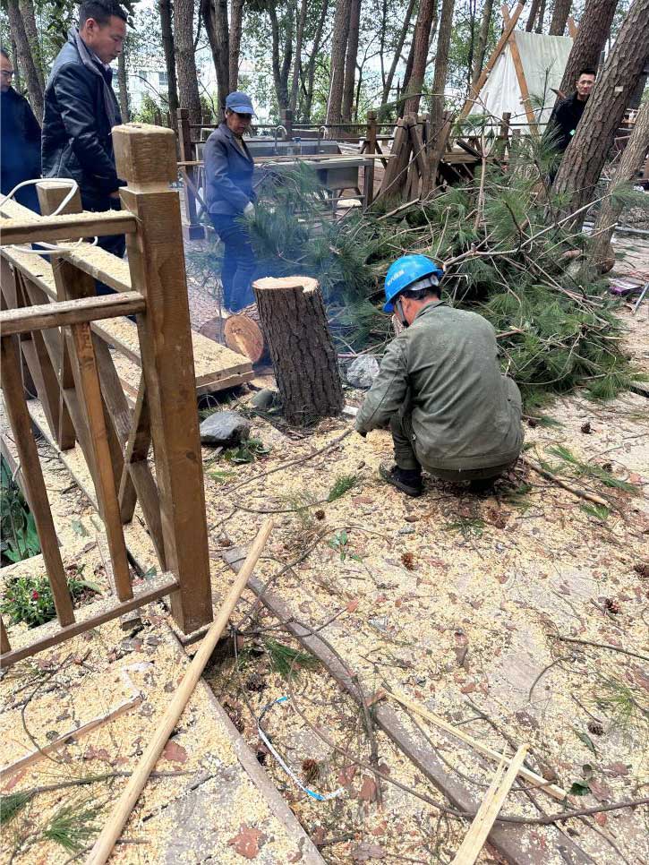 排除隱患，國資公司砍樹解民憂