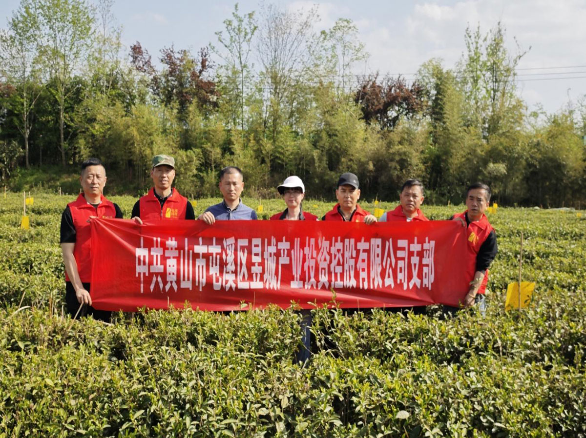 昱城產(chǎn)投公司黨支部開(kāi)展“茶香潤(rùn)初心，黨旗映茶園”主題黨日活動(dòng)