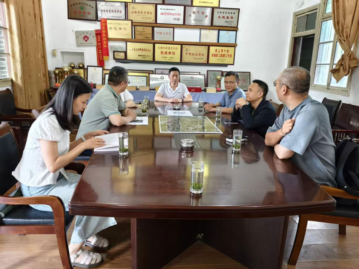 江蘇外聯(lián)采考察團到實驗茶場考察，共商茶產(chǎn)業(yè)合作新藍圖
