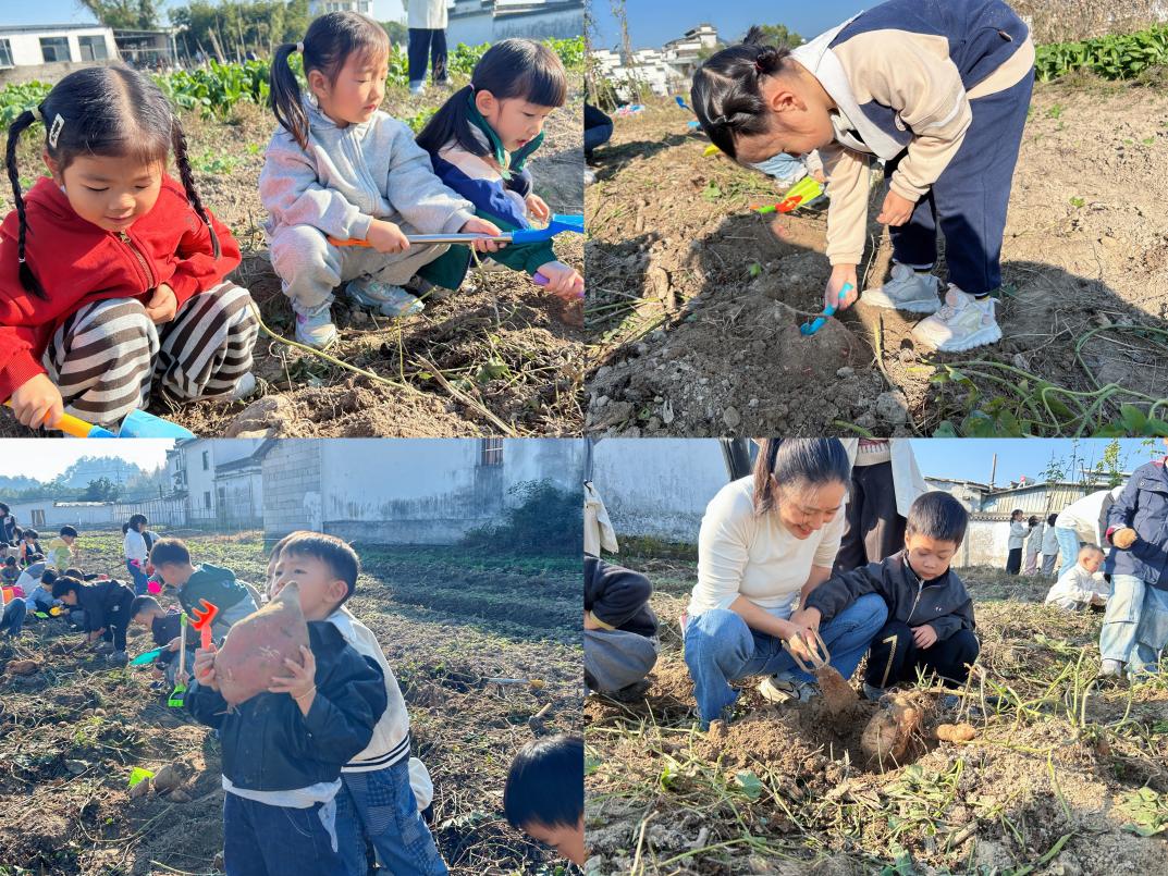 以“童”為橋促振興     農(nóng)耕體驗樂翻天