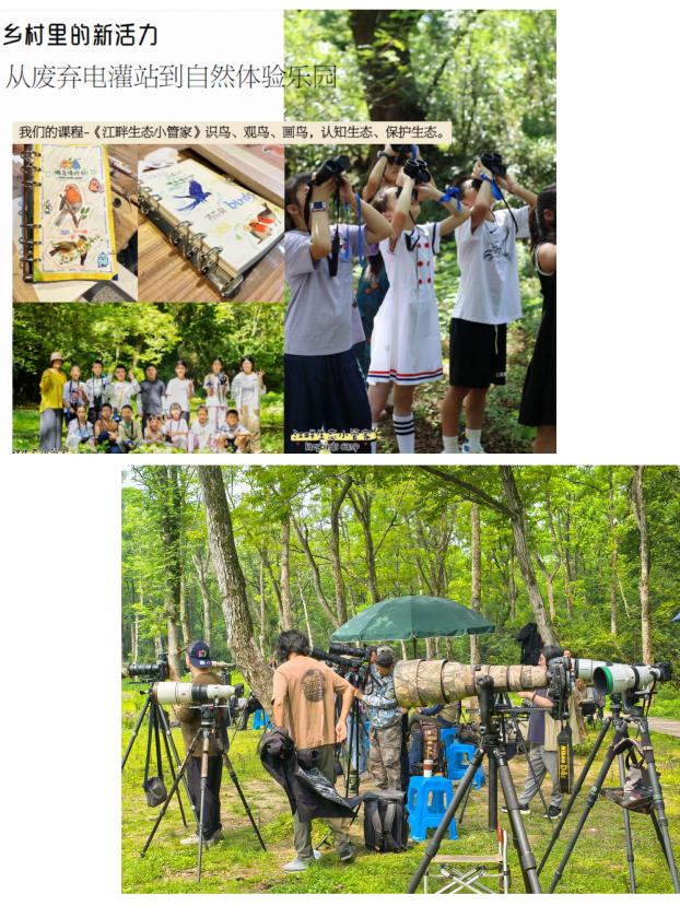 8000萬熱度炸屏！屯溪“護(hù)村小祖宗”聯(lián)動短劇頂級頭部平臺帶火綬帶鳥，短劇+文旅解鎖鄉(xiāng)村振興新密碼