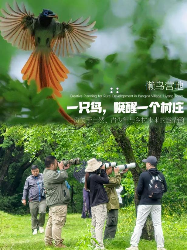 8000萬熱度炸屏！屯溪“護村小祖宗”聯(lián)動短劇頂級頭部平臺帶火綬帶鳥，短劇+文